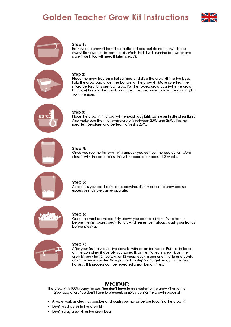 Golden Teacher grow kit instructions Grow kit Instructions
