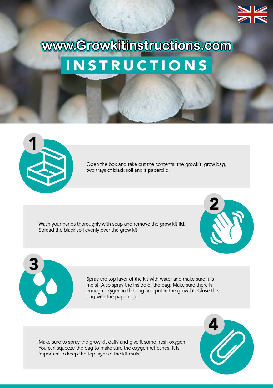 Hawaiian Copelandia grow kit instructions Grow kit Instructions