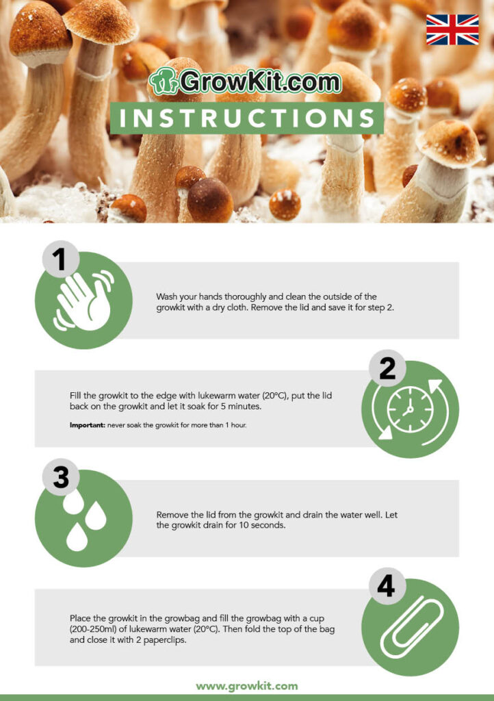Magic mushroom paddo grow kit instructions front